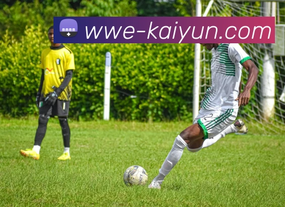 App Interface Preview