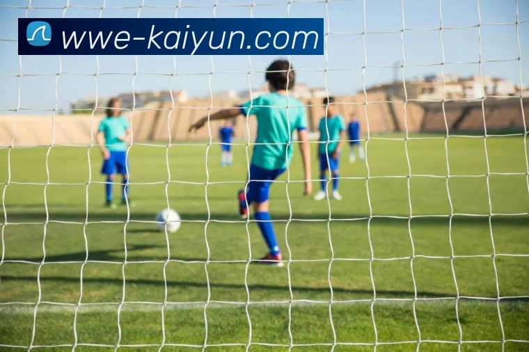 开云官网APP 封面图